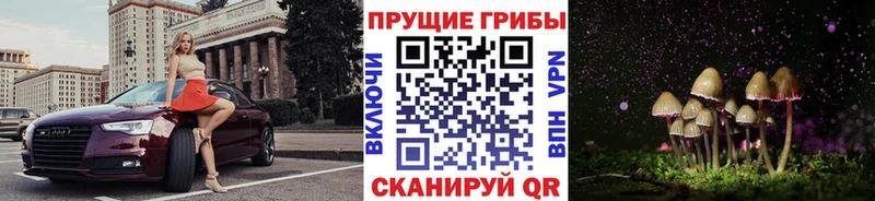 Галлюциногенные грибы GOLDEN TEACHER Красноярск