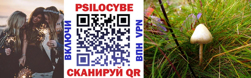 купить закладку  Красноярск  Псилоцибиновые грибы Psilocybe 